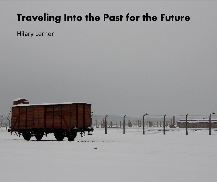 View Traveling Into the Past for the Future by Hilary Lerner