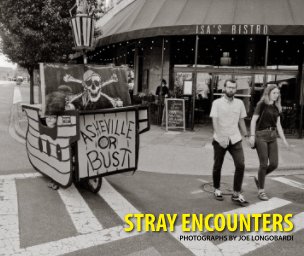 Stray Encounters book cover