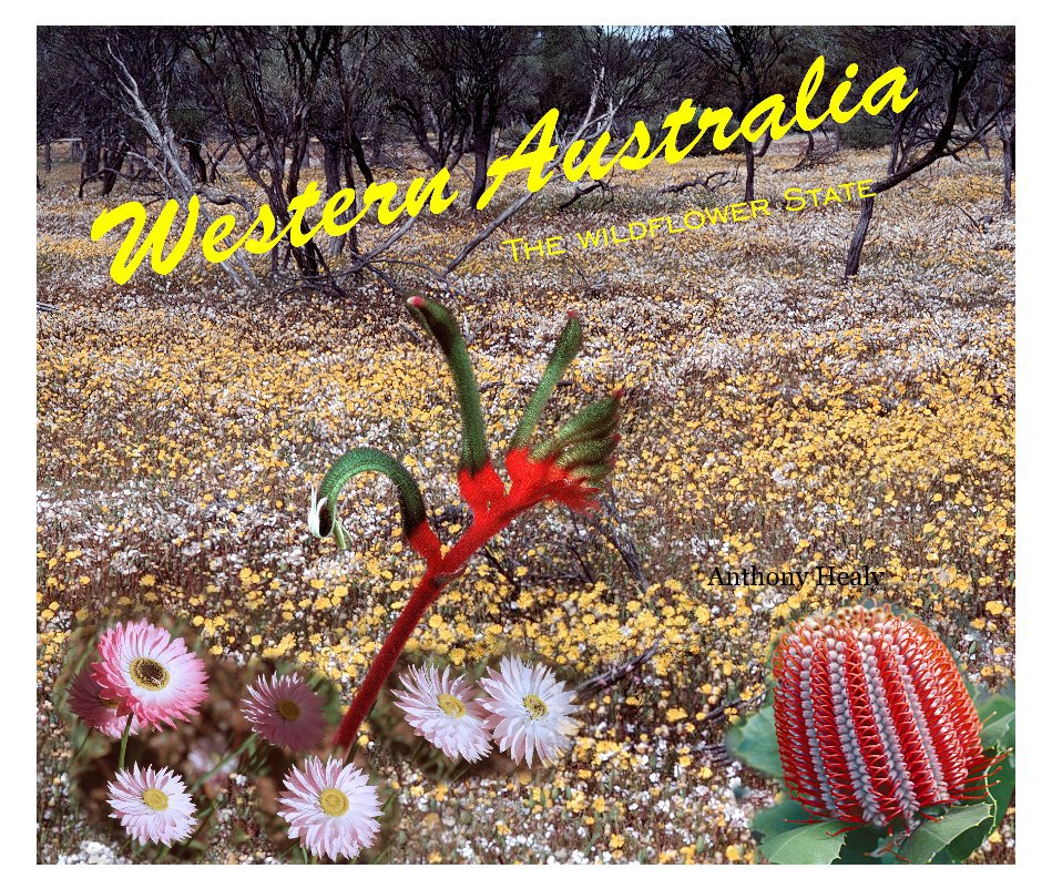 View Western Australia by Anthony Healy