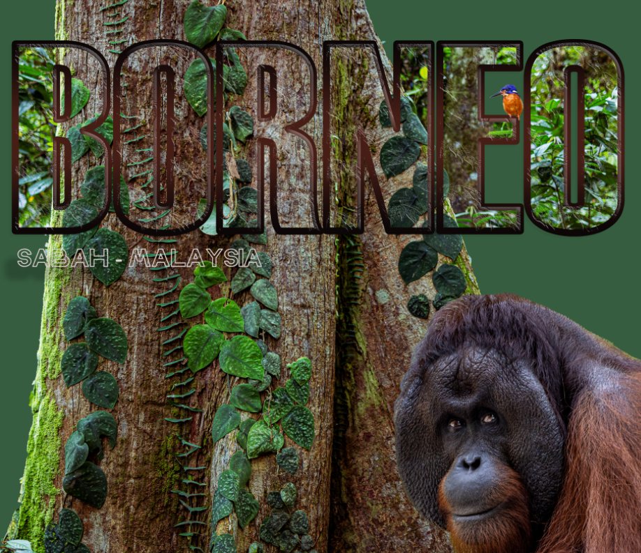 View Borneo by Bruce Kentish