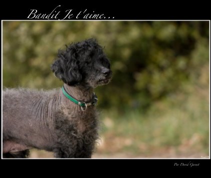 Bandit Je t'aime... book cover