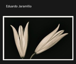 Eduardo Jaramillo book cover