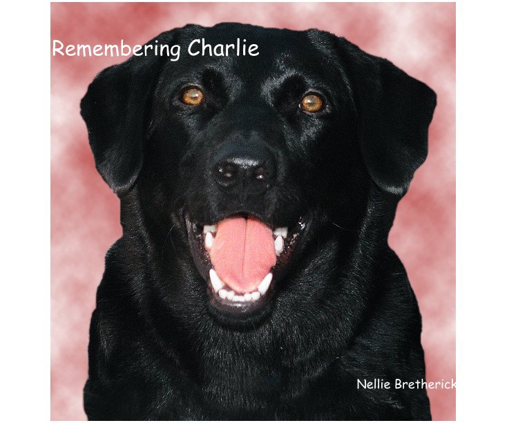 View Remembering Charlie by Nellie Bretherick