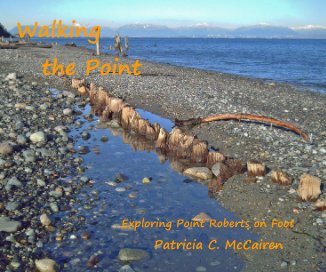 Walking the Point book cover