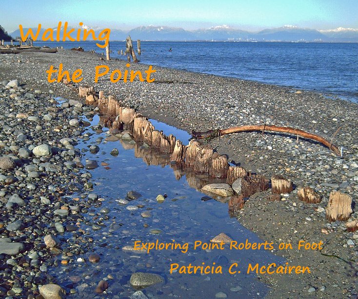 View Walking the Point by Patricia C. McCairen