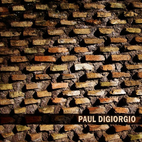 Visualizza Portfolio di Paul DiGiorgio