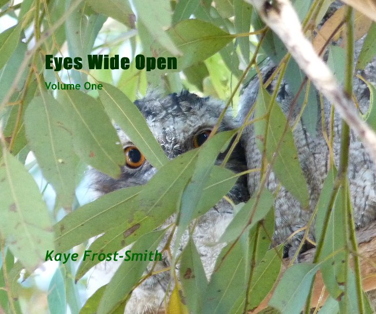 Ver Eyes Wide Open por Kaye Frost-Smith