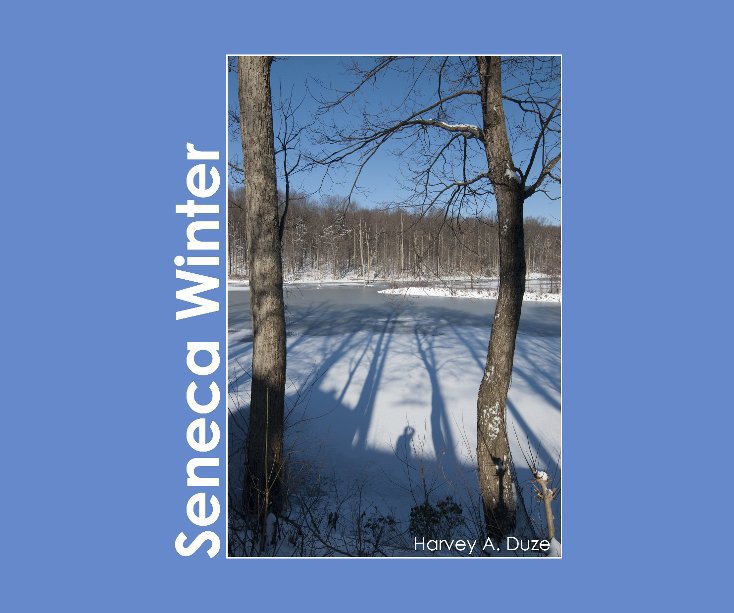 View Seneca Winter by Harvey A. Duze