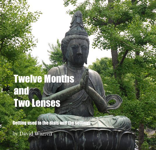 Ver Twelve Months and Two Lenses por David Warren