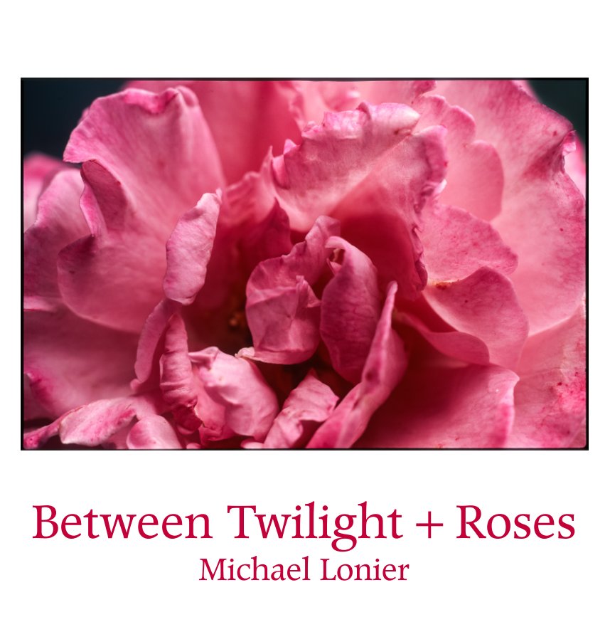 View Between Twilight + Roses by Michael Lonier