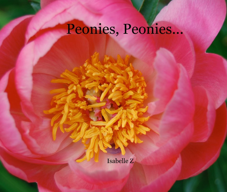 View Peonies, Peonies... by Isabelle Z