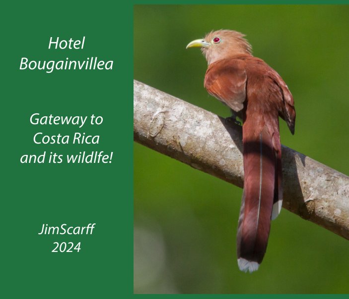 Ver Hotel Bougainvillea - Gateway to Costa Rica and its Wildlfe por Jim Scarff
