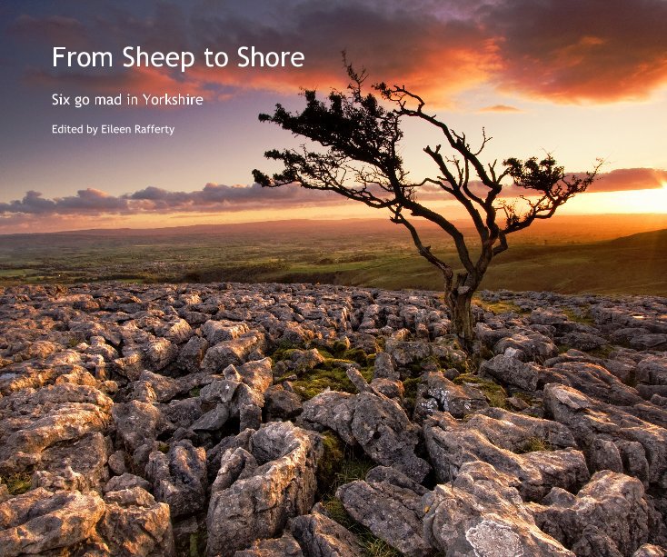 View From Sheep to Shore by Edited by Eileen Rafferty