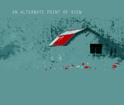 AN ALTERNATE POINT OF VIEW book cover