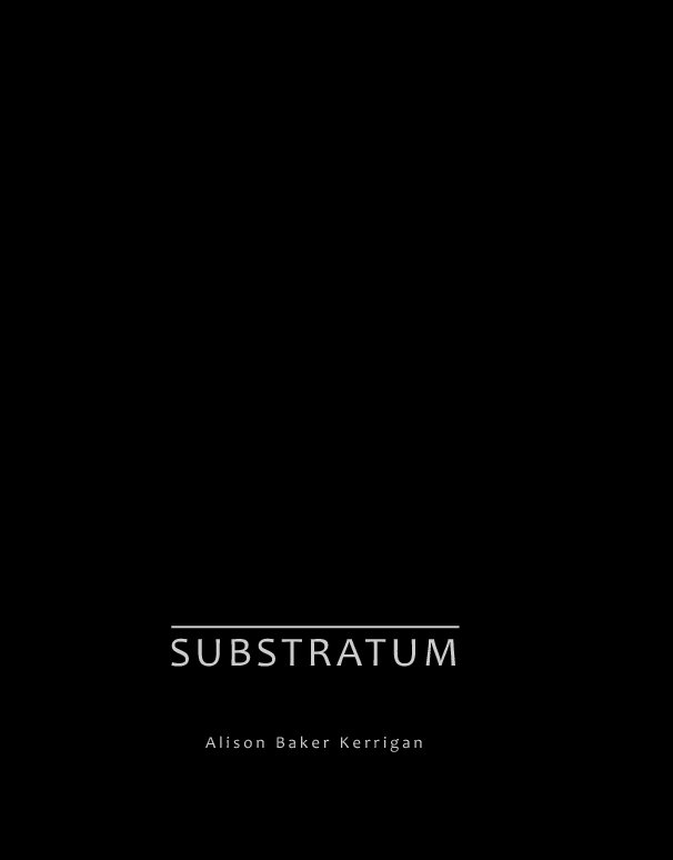 View Substratum by Alison Baker Kerrigan