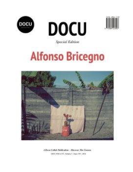 Alfonso Bricegno book cover