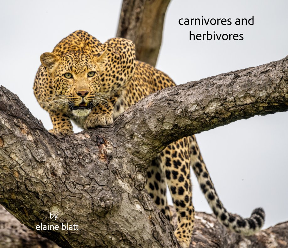 Bekijk carnivores and herbivores op elaine blatt