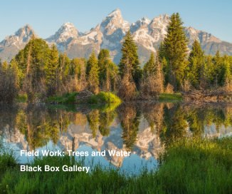 Field Work: Trees and Water book cover