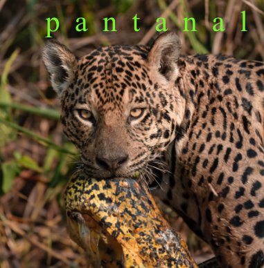 Pantanal untamed book cover