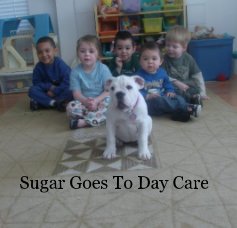 Sugar Goes To Day Care book cover