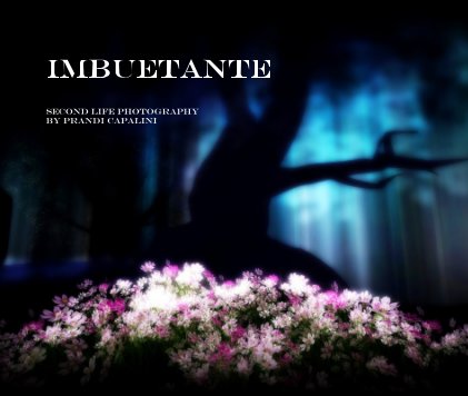 IMBUETANTE book cover
