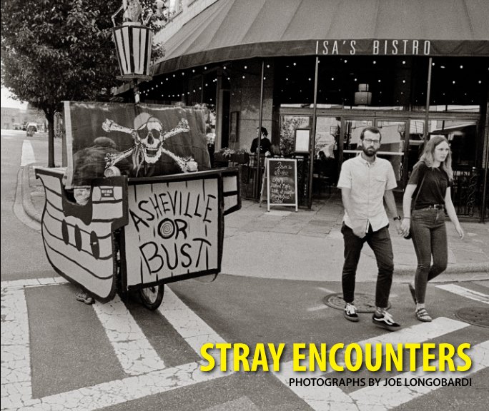 Visualizza Stray Encounters di Joe Longobardi