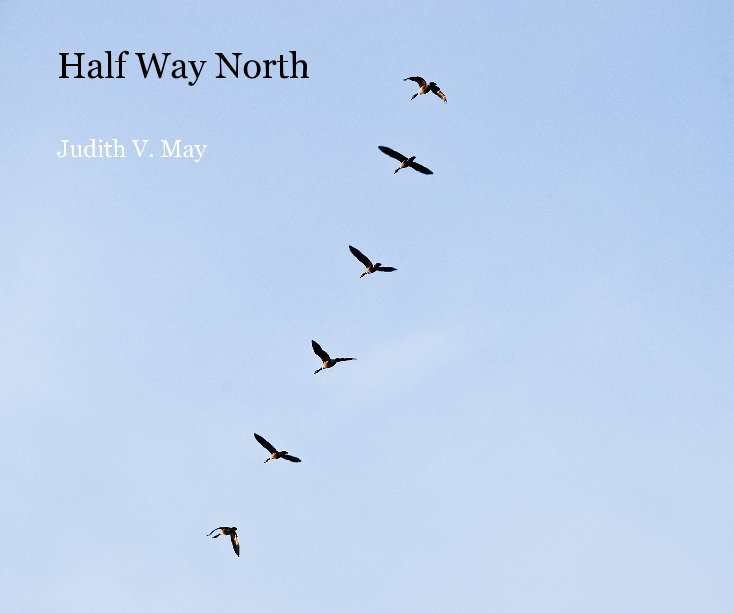 View Half Way North by Judith V. May