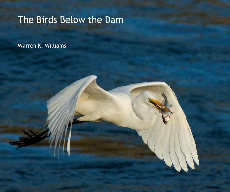 View The Birds Below the Dam by Warren K. Williams
