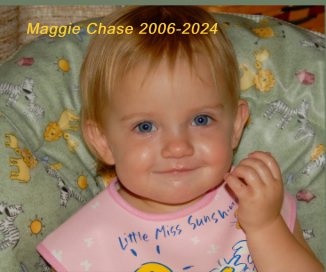 Maggie Chase 2006-2024 book cover