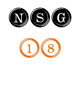 NSG 18 book cover