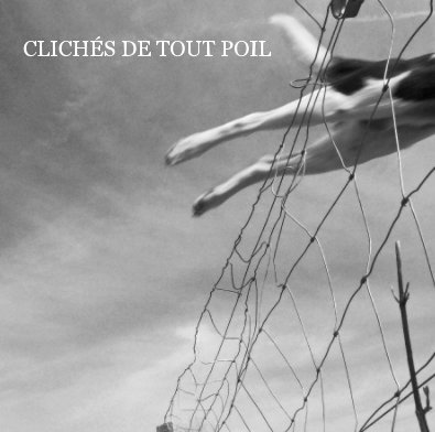 Clichés  de tout poil book cover