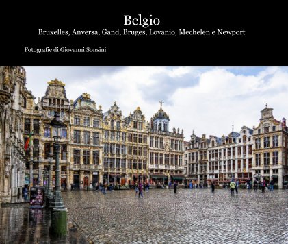Belgio Bruxelles, Anversa, Gand, Bruges, Lovanio, Mechelen e Newport book cover