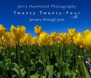 Twenty Twenty-Four book cover