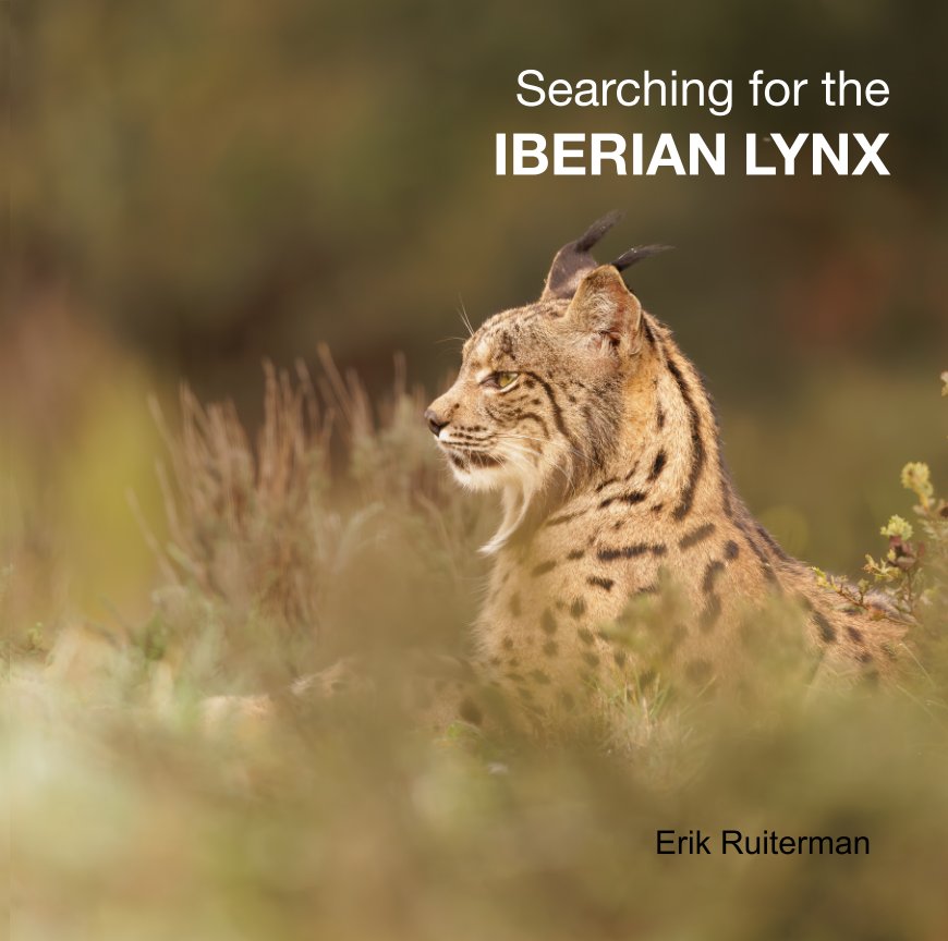 View Searching for the IBERIAN LYNX by Erik Ruiterman