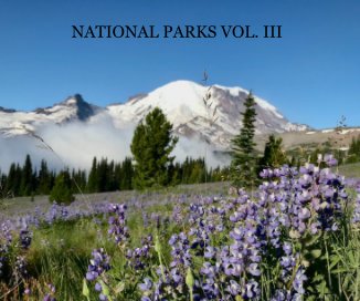 Nationals Park Vol. III book cover