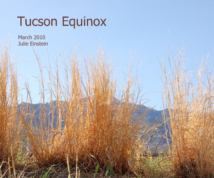 View Tucson Equinox by March 2010 Julie Einstein