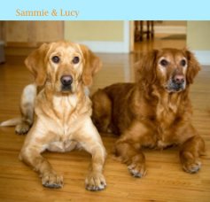 Sammie & Lucy book cover