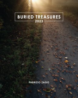 Buried treasures - 2023 book cover