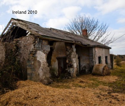 Ireland 2010 book cover