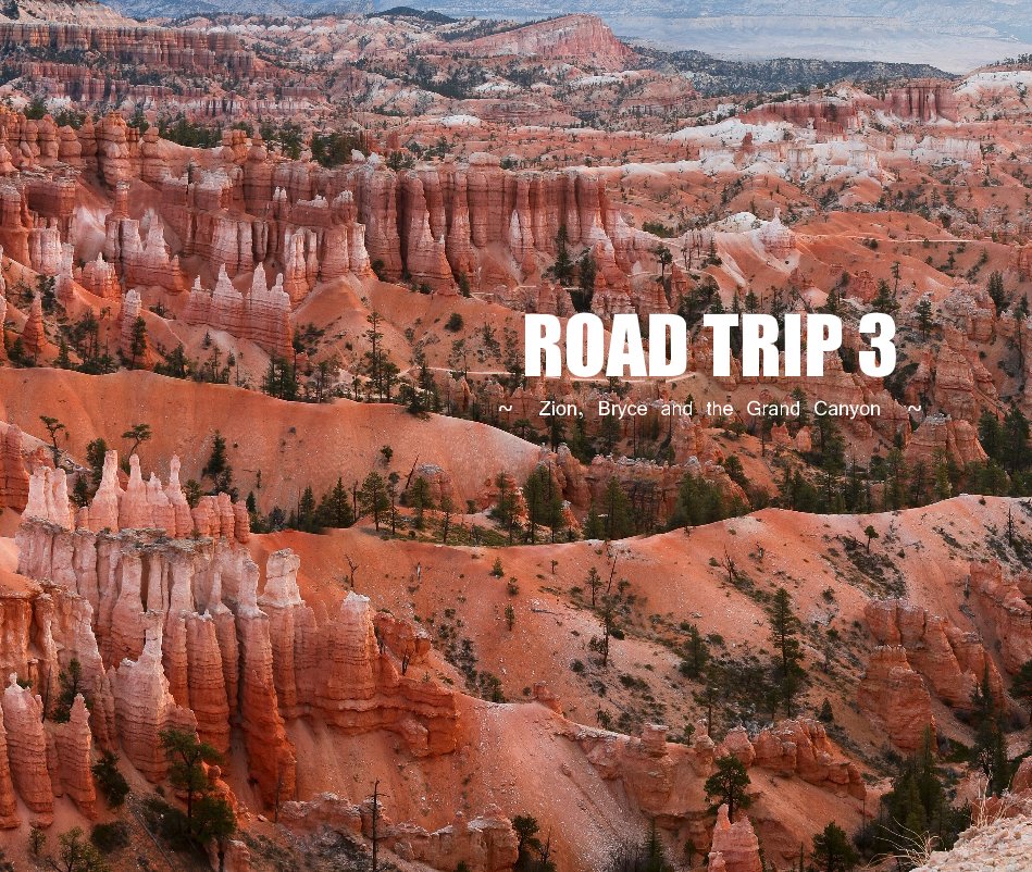 View ROAD TRIP 3 by Skip & Patti Moreland