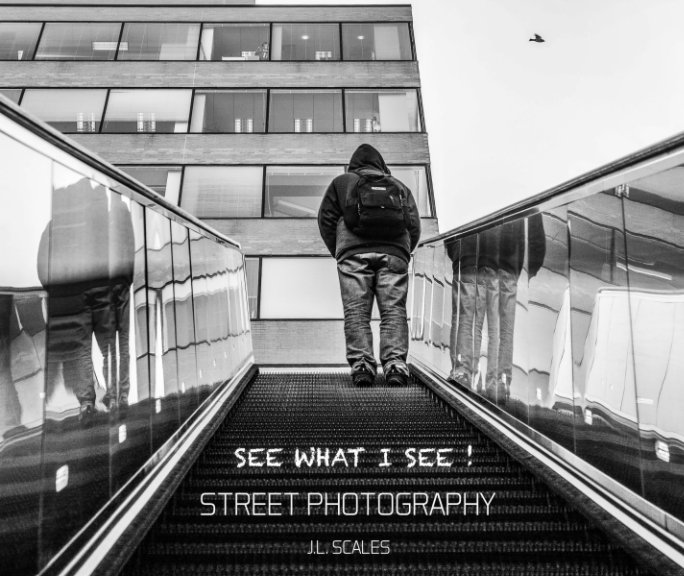 View See What I See! by JL Scales