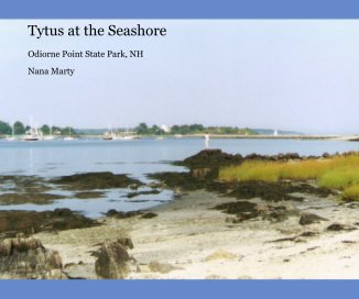 Tytus at the Seashore book cover