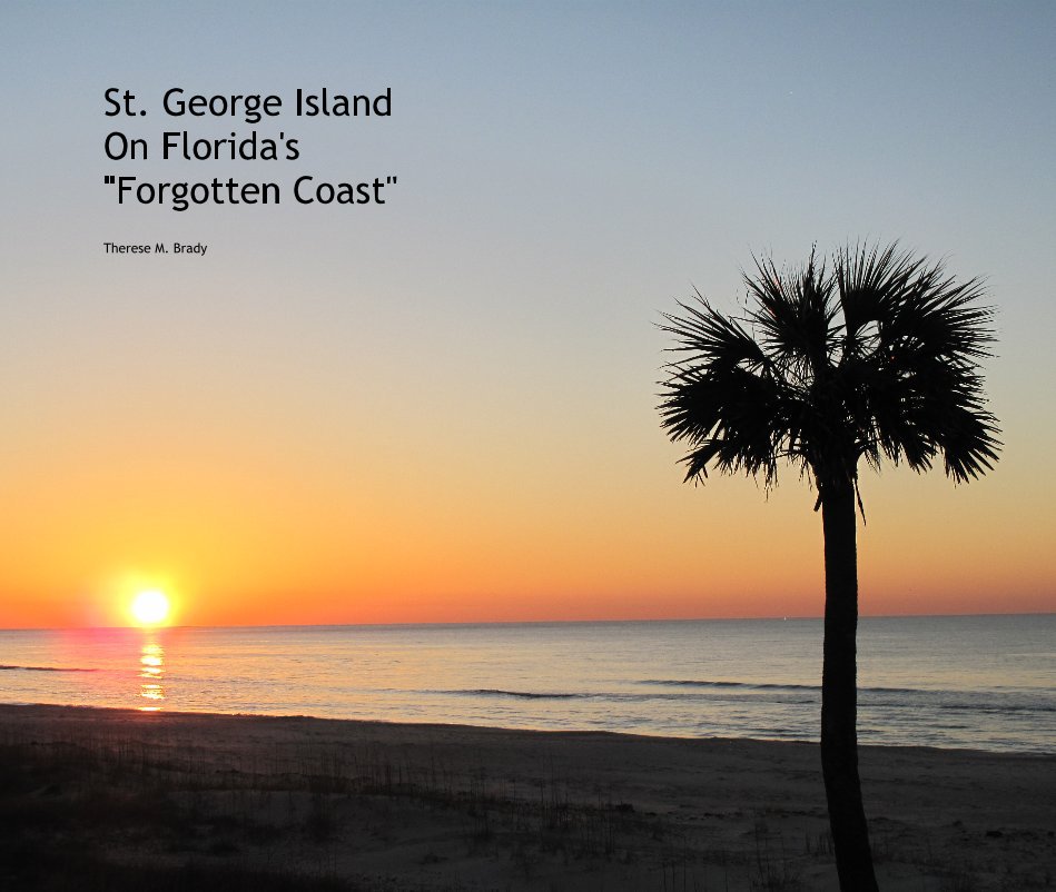 View St. George Island On Florida's "Forgotten Coast" by Therese M. Brady