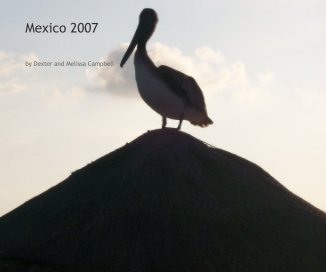 Mexico 2007 book cover