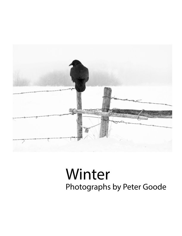 View Winter by Peter Goode