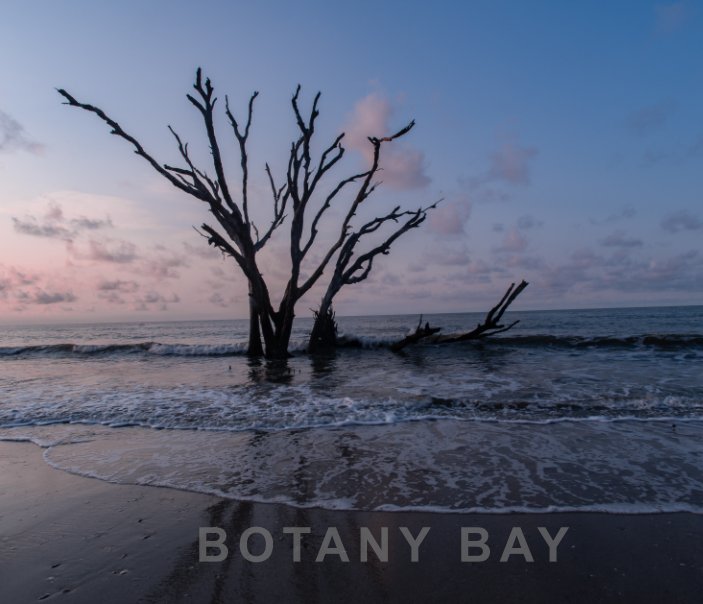 View Botany Bay by Patty Schoelkopf-Lewis