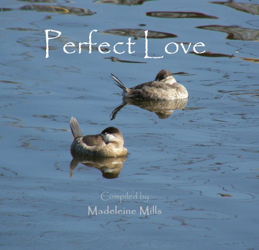 Visualizza Perfect Love di Madeleine Mills