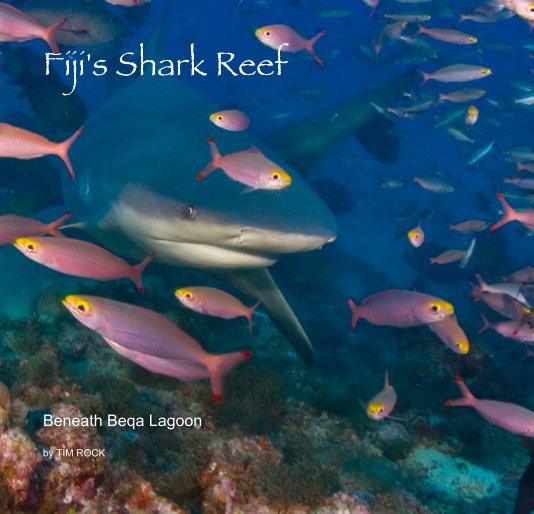 View Fiji's Shark Reef by TIM ROCK