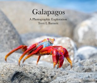 Galapagos book cover