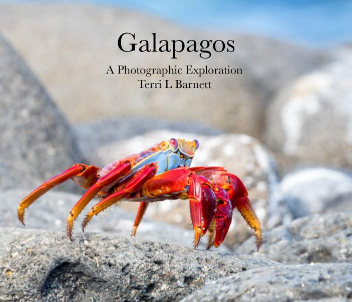 View Galapagos by Terri L Barnett